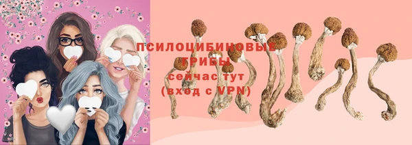 хмурый Алексеевка