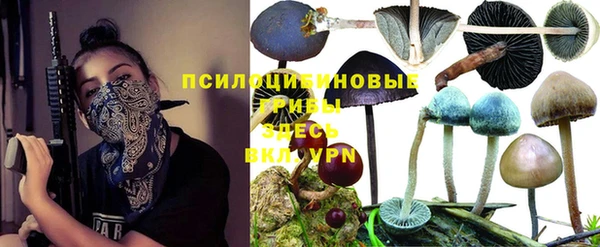 хмурый Алексеевка